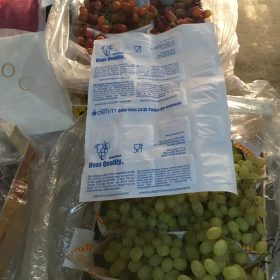 Generador SO2 Generador SO2